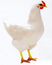 _-1