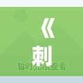 《刺客信條1的主角——致命優雅與命運交錯的傳奇》