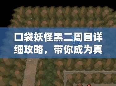 口袋妖怪黑二周目詳細攻略，帶你成為真正的訓練大師！