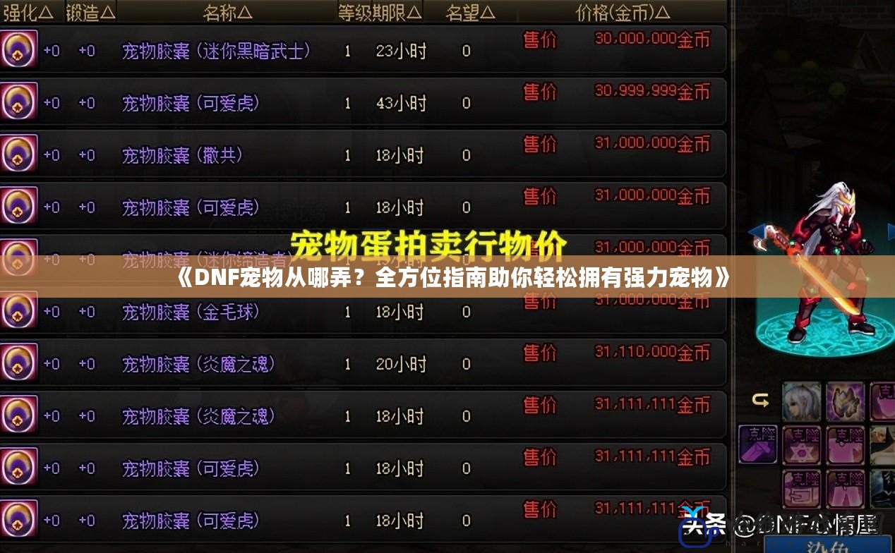 《DNF寵物從哪弄？全方位指南助你輕松擁有強力寵物》