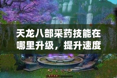 天龍八部采藥技能在哪里升級(jí)，提升速度全攻略！