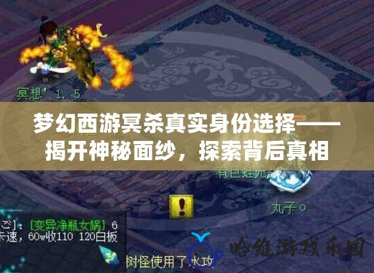 夢幻西游冥殺真實身份選擇——揭開神秘面紗，探索背后真相