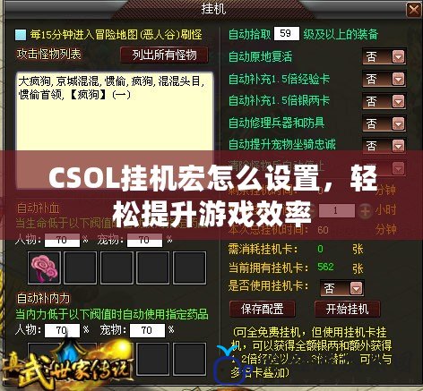 CSOL掛機(jī)宏怎么設(shè)置，輕松提升游戲效率