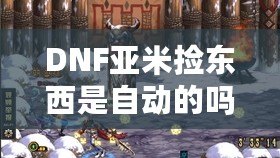DNF亞米撿東西是自動的嗎？揭秘DNF新玩法，讓你輕松享受全新體驗！