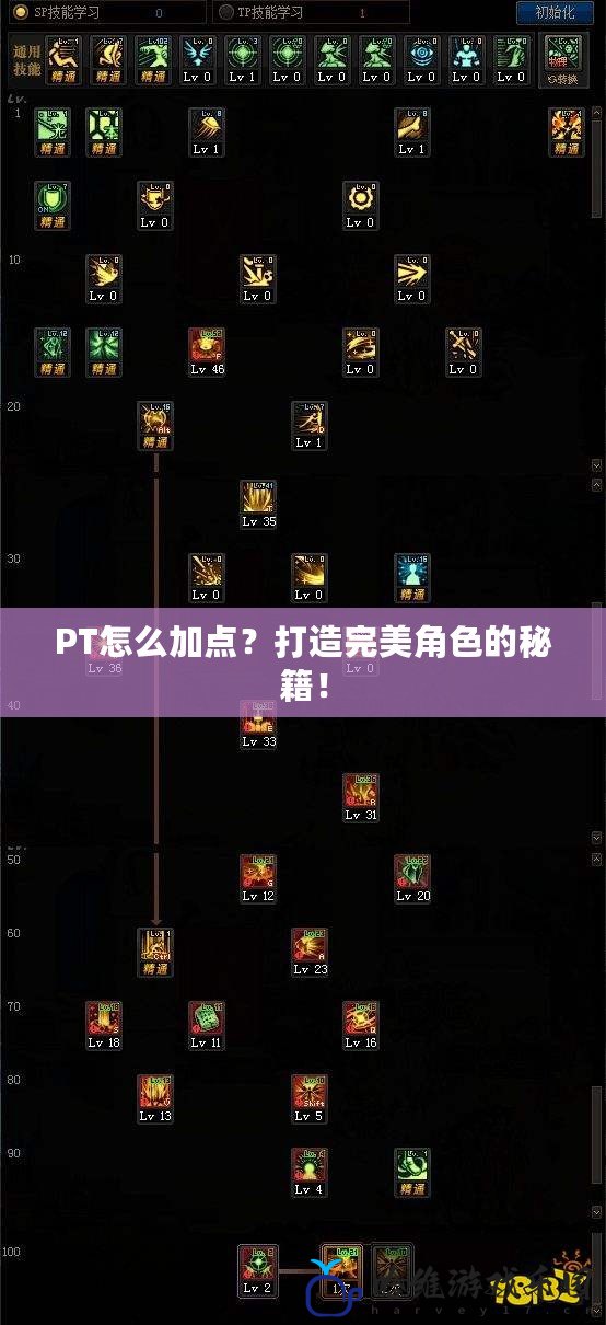 PT怎么加點？打造完美角色的秘籍！
