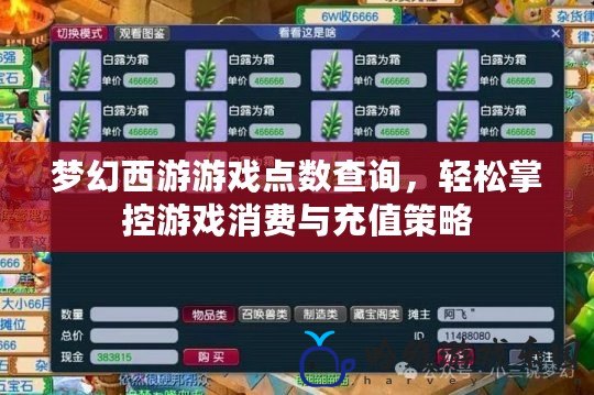 夢幻西游游戲點數(shù)查詢，輕松掌控游戲消費與充值策略