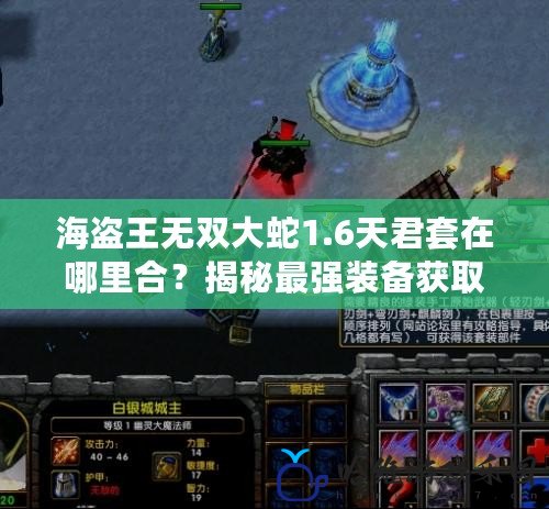 海盜王無雙大蛇1.6天君套在哪里合？揭秘最強(qiáng)裝備獲取攻略！