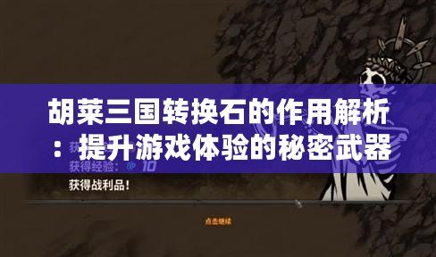 胡萊三國轉換石的作用解析：提升游戲體驗的秘密武器