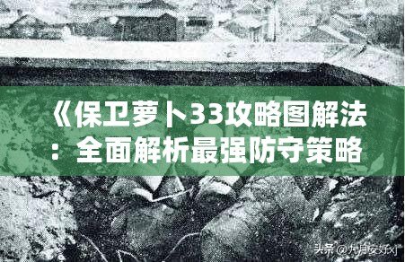 《保衛(wèi)蘿卜33攻略圖解法：全面解析最強(qiáng)防守策略》