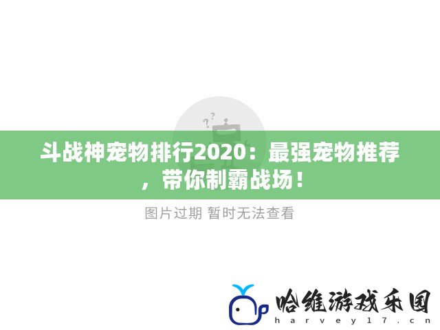 斗戰神寵物排行2020：最強寵物推薦，帶你制霸戰場！