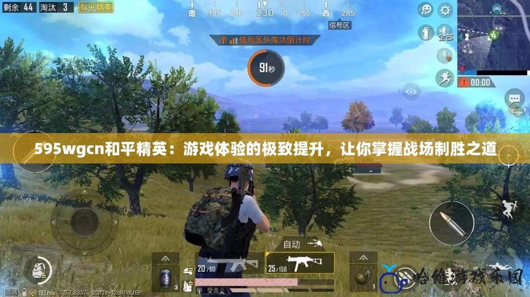 595wgcn和平精英：游戲體驗的極致提升，讓你掌握戰(zhàn)場制勝之道