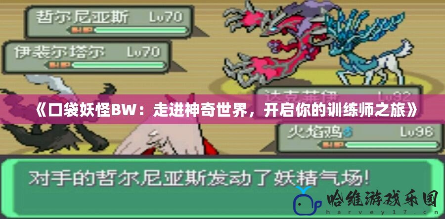 《口袋妖怪BW：走進(jìn)神奇世界，開啟你的訓(xùn)練師之旅》