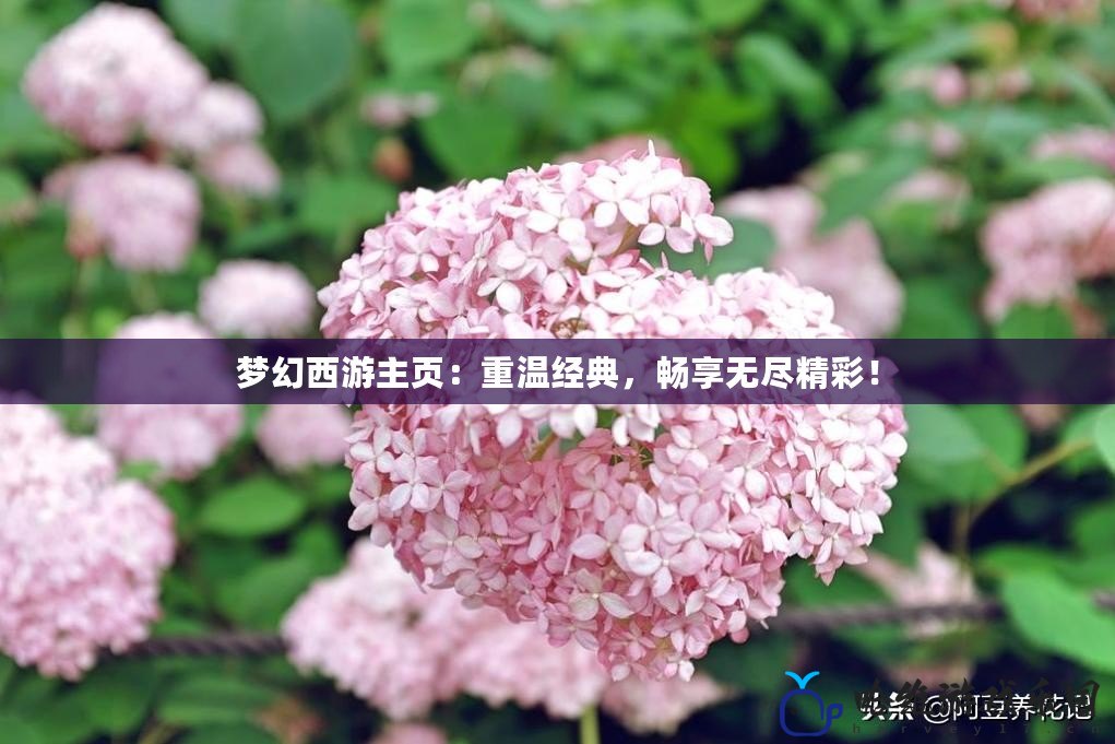 夢幻西游主頁：重溫經典，暢享無盡精彩！