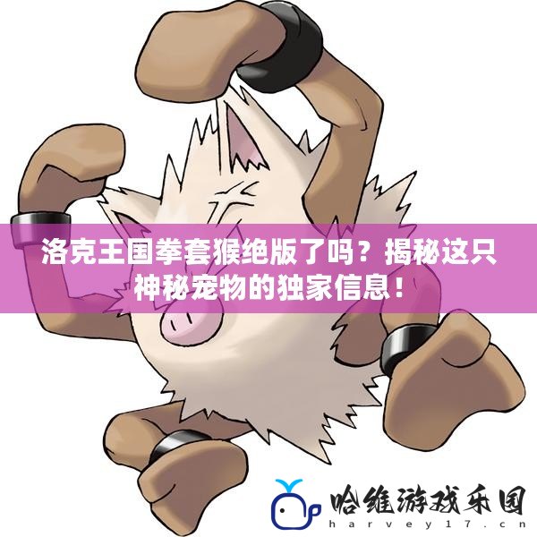 洛克王國拳套猴絕版了嗎？揭秘這只神秘寵物的獨(dú)家信息！
