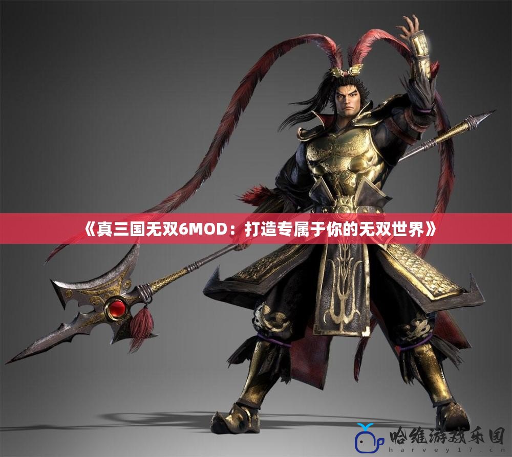《真三國無雙6MOD：打造專屬于你的無雙世界》