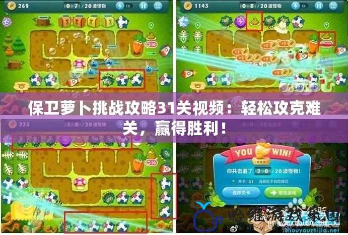 保衛(wèi)蘿卜挑戰(zhàn)攻略31關(guān)視頻：輕松攻克難關(guān)，贏得勝利！
