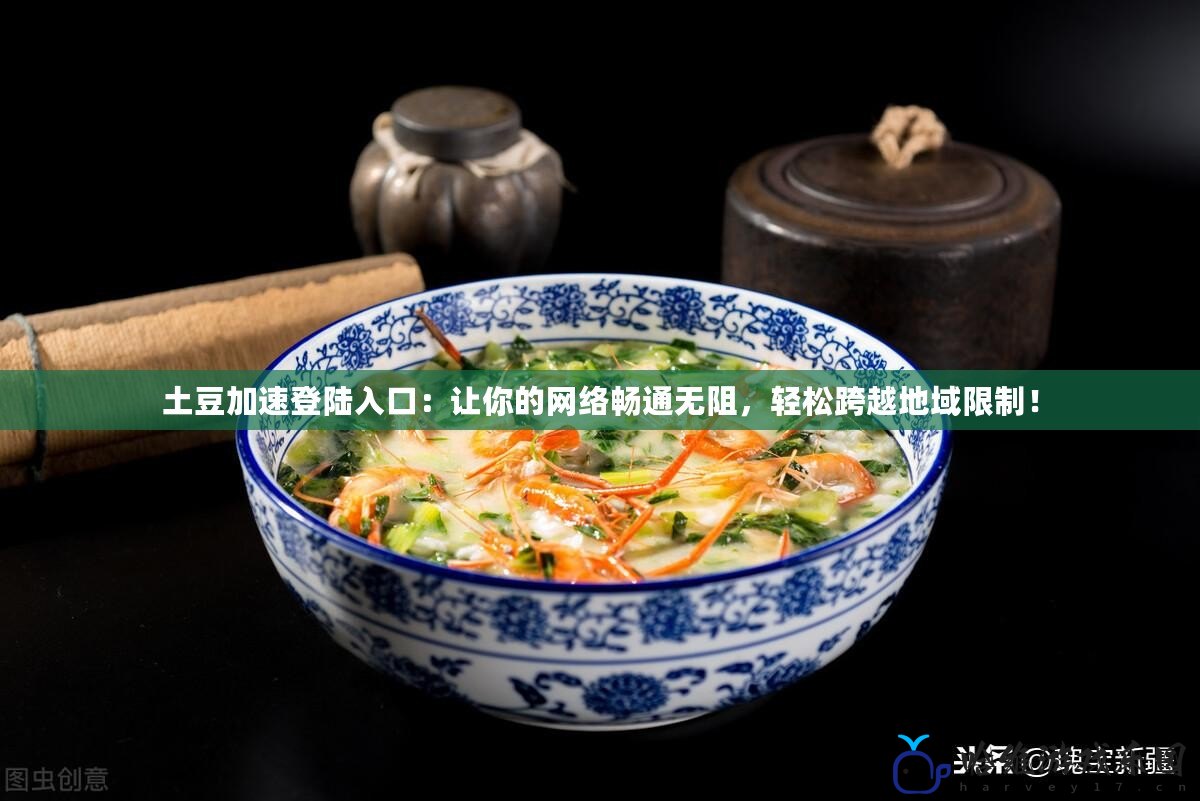 土豆加速登陸入口：讓你的網(wǎng)絡(luò)暢通無(wú)阻，輕松跨越地域限制！