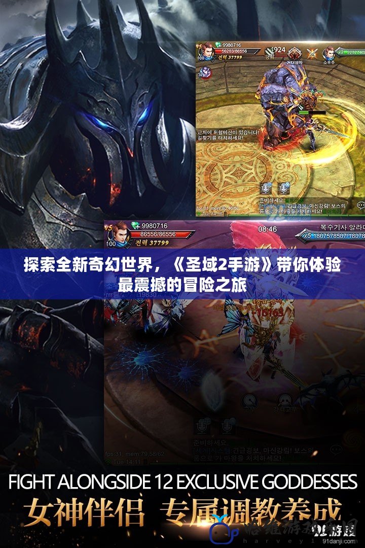 探索全新奇幻世界，《圣域2手游》帶你體驗(yàn)最震撼的冒險(xiǎn)之旅
