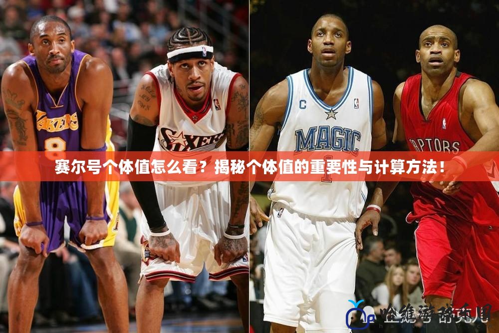 賽爾號個體值怎么看？揭秘個體值的重要性與計算方法！