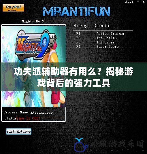 功夫派輔助器有用么？揭秘游戲背后的強(qiáng)力工具