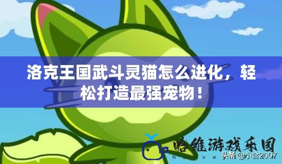 洛克王國(guó)武斗靈貓?jiān)趺催M(jìn)化，輕松打造最強(qiáng)寵物！