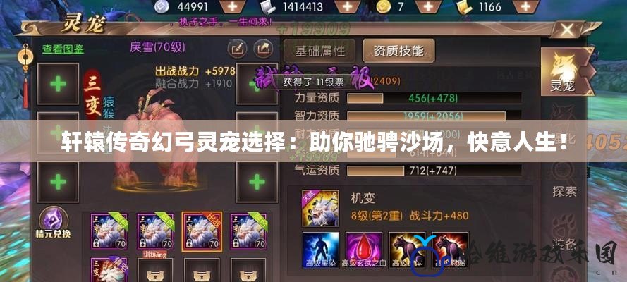 軒轅傳奇幻弓靈寵選擇：助你馳騁沙場(chǎng)，快意人生！