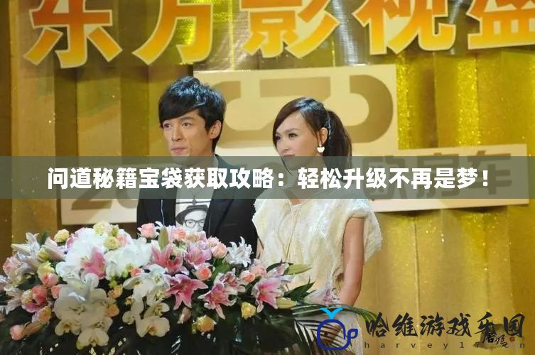 問(wèn)道秘籍寶袋獲取攻略：輕松升級(jí)不再是夢(mèng)！