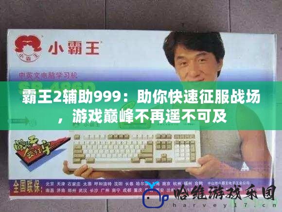 霸王2輔助999：助你快速征服戰場，游戲巔峰不再遙不可及