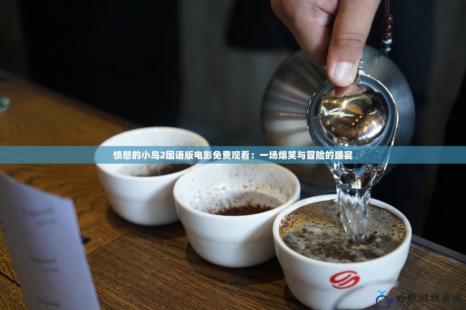 憤怒的小鳥2國語版電影免費(fèi)觀看：一場爆笑與冒險(xiǎn)的盛宴