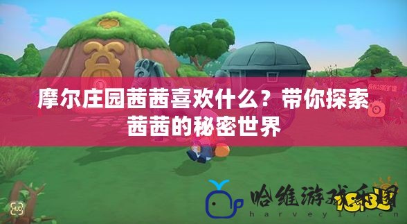 摩爾莊園茜茜喜歡什么？帶你探索茜茜的秘密世界