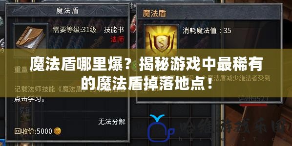 魔法盾哪里爆？揭秘游戲中最稀有的魔法盾掉落地點！
