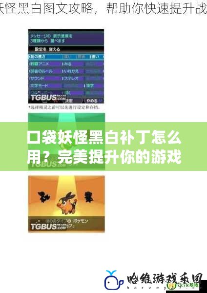 口袋妖怪黑白補丁怎么用？完美提升你的游戲體驗！