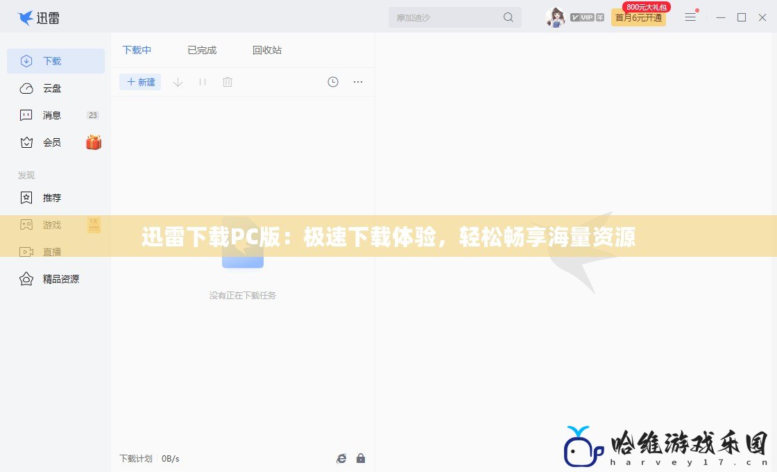 迅雷下載PC版：極速下載體驗，輕松暢享海量資源