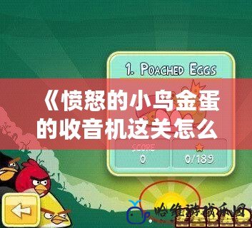 《憤怒的小鳥(niǎo)金蛋的收音機(jī)這關(guān)怎么過(guò)？詳細(xì)攻略助你輕松通關(guān)！