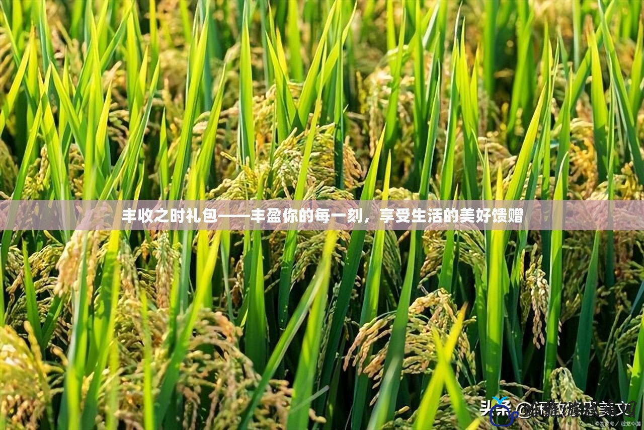豐收之時禮包——豐盈你的每一刻，享受生活的美好饋贈