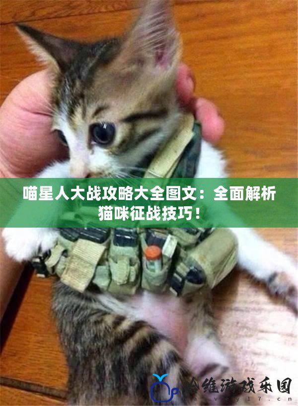 喵星人大戰(zhàn)攻略大全圖文：全面解析貓咪征戰(zhàn)技巧！