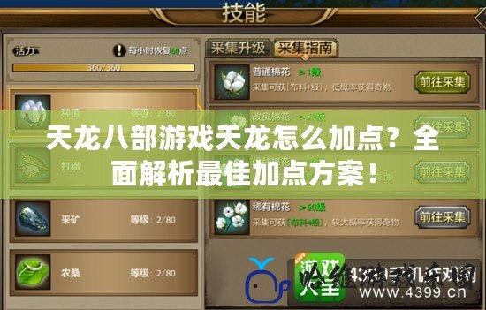 天龍八部游戲天龍怎么加點？全面解析最佳加點方案！