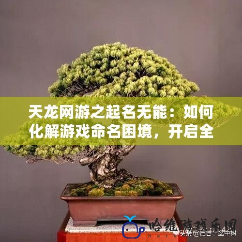 天龍網(wǎng)游之起名無能：如何化解游戲命名困境，開啟全新冒險(xiǎn)