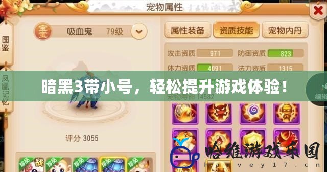 暗黑3帶小號，輕松提升游戲體驗(yàn)！