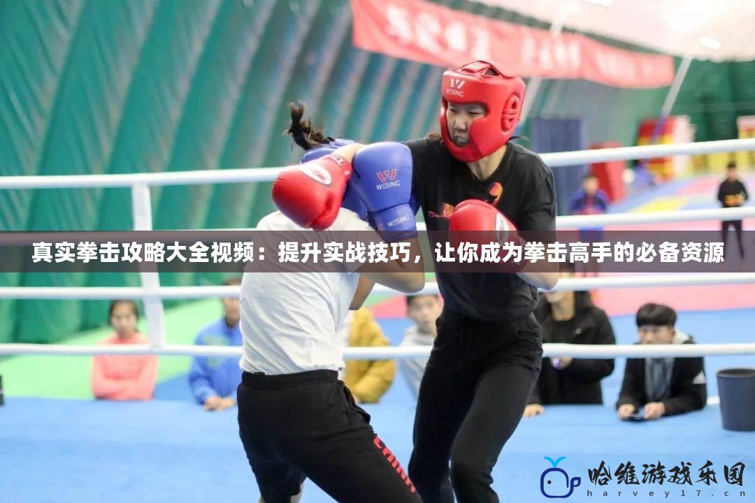 真實拳擊攻略大全視頻：提升實戰(zhàn)技巧，讓你成為拳擊高手的必備資源