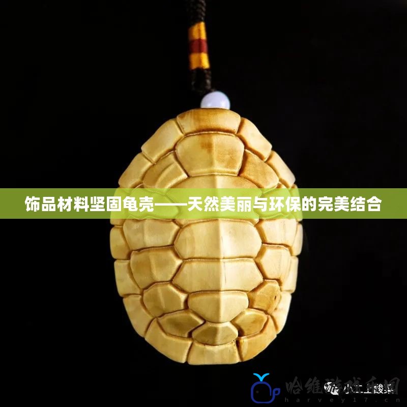 飾品材料堅固龜殼——天然美麗與環保的完美結合