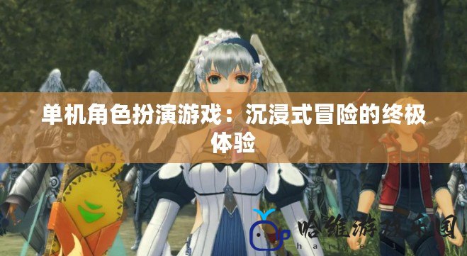 單機(jī)角色扮演游戲：沉浸式冒險(xiǎn)的終極體驗(yàn)