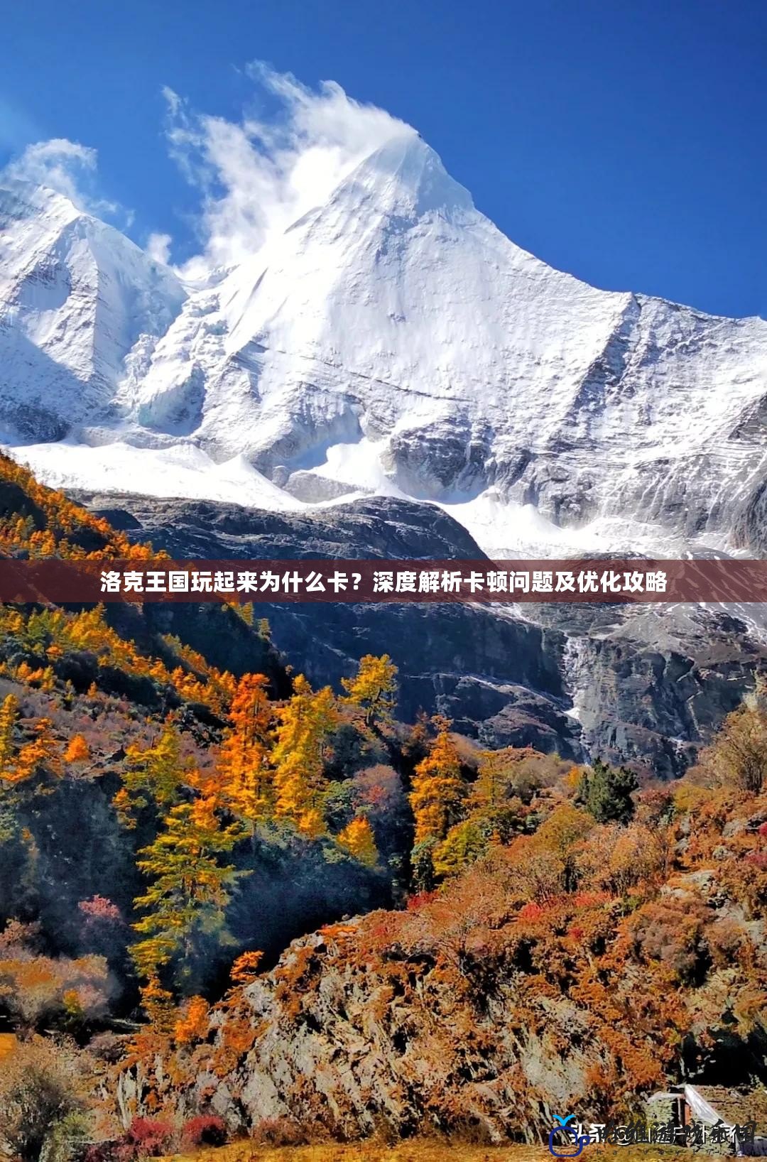 洛克王國玩起來為什么卡？深度解析卡頓問題及優化攻略
