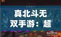 真北斗無雙手游：超越經(jīng)典，征戰(zhàn)新天地