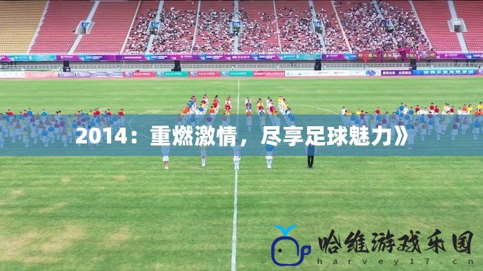 2014：重燃激情，盡享足球魅力》