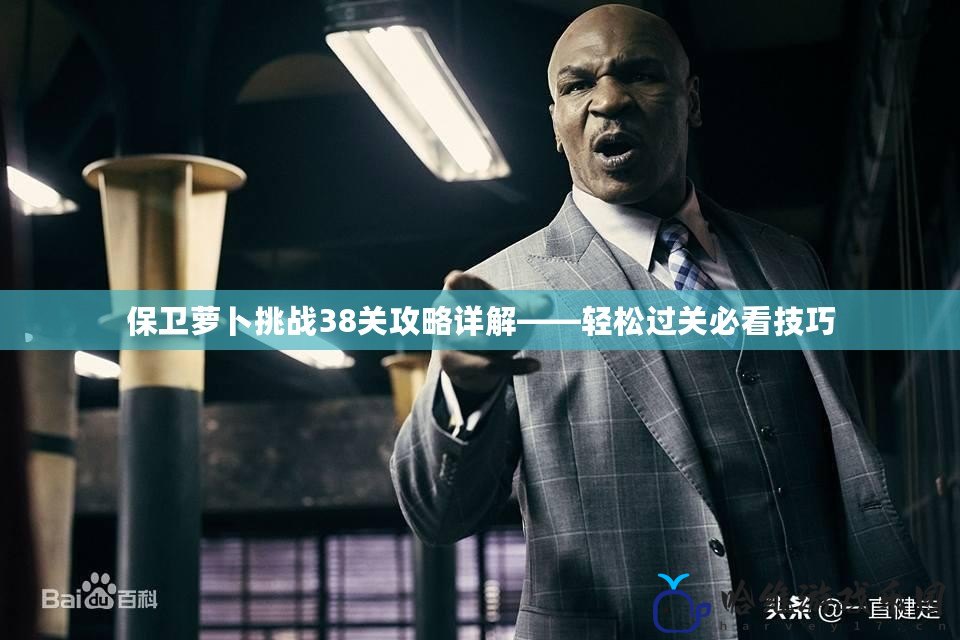 保衛(wèi)蘿卜挑戰(zhàn)38關(guān)攻略詳解——輕松過關(guān)必看技巧