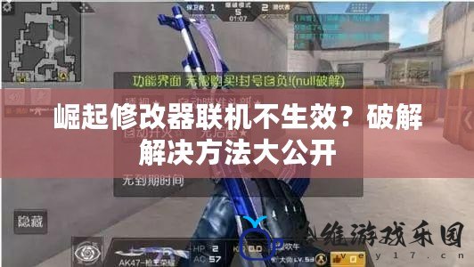 崛起修改器聯(lián)機(jī)不生效？破解解決方法大公開(kāi)