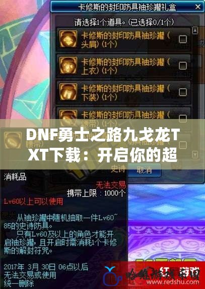 DNF勇士之路九戈龍TXT下載：開啟你的超強(qiáng)征程，掌握力量與榮耀