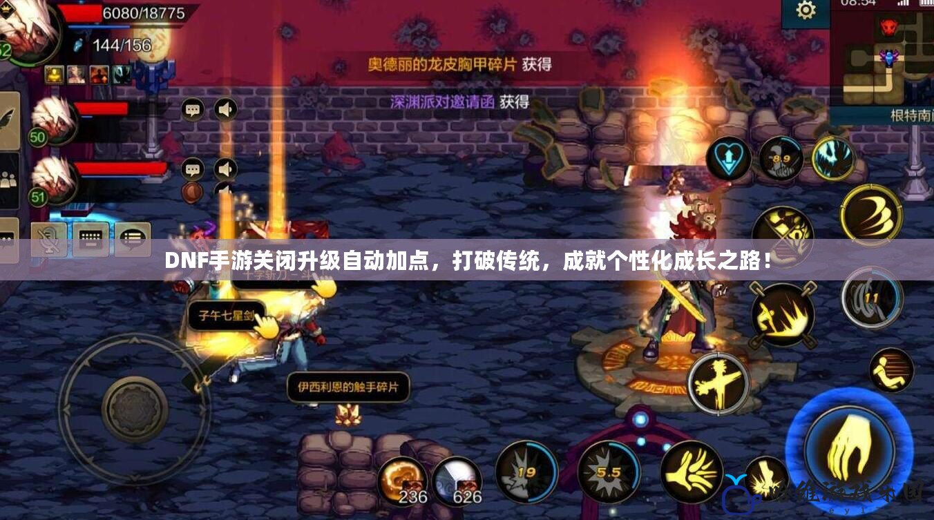 DNF手游關(guān)閉升級(jí)自動(dòng)加點(diǎn)，打破傳統(tǒng)，成就個(gè)性化成長之路！