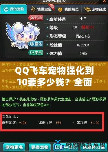 QQ飛車寵物強化到10要多少錢？全面解析你不可忽視的消費！